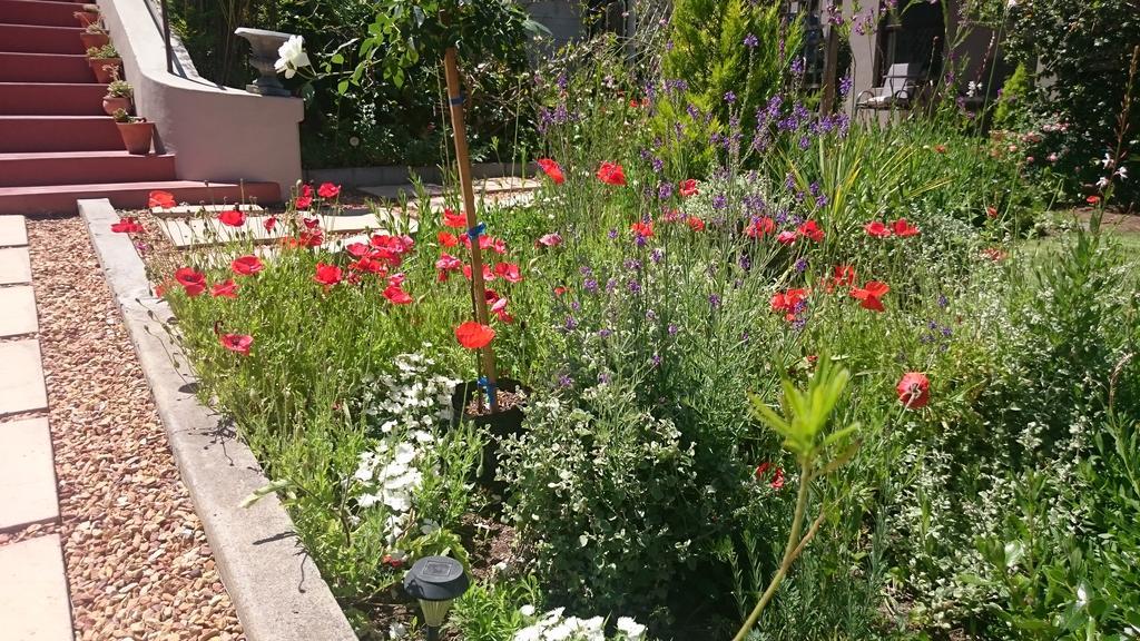 Abigail's Garden Montagu