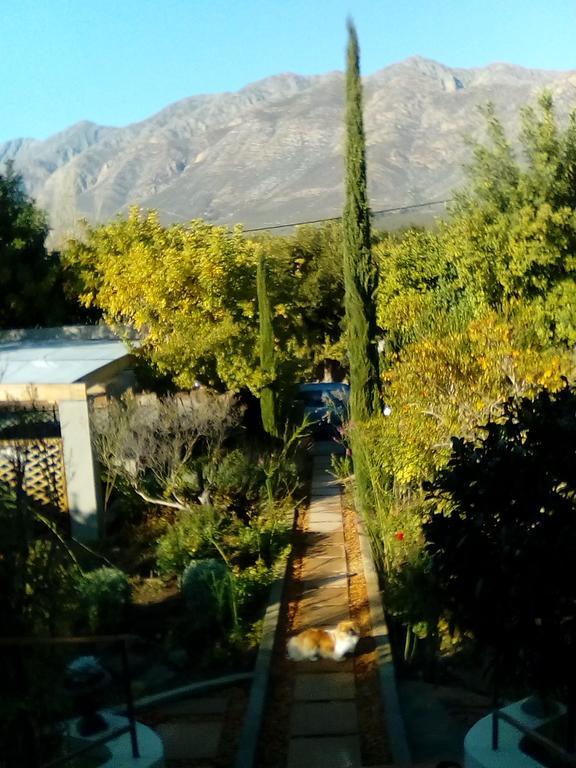 Abigail's Garden * Montagu