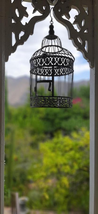 Abigail's Garden Montagu
